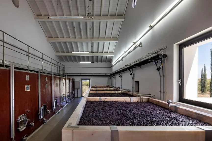 Torre de Palma Wine Hotel grape tanks